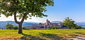 Blick von der Festung Albornoz, Urbino, Marken, Italien, Europa