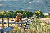 Rancher lehtn sich gegen Zaun auf Feld, Bellevue, Idaho, USA