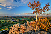 Blick vom Gohrisch auf Lilienstein mit Felsen im Vordergrund, Gohrisch, Nationalpark Sächsische Schweiz, Sächsische Schweiz, Elbsandstein, Sachsen, Deutschland