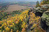 Tiefblick vom Lilienstein auf herbstlich verfärbten Wald, Lilienstein, Nationalpark Sächsische Schweiz, Sächsische Schweiz, Elbsandstein, Sachsen, Deutschland
