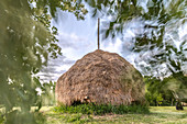 Traditional haystack in the Spreewald, Germany, Brandenburg
