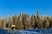 Wohnmobil auf einer Lichtung im winterlichen Wald, bei Dorotea, Västerbottens Län, Schweden