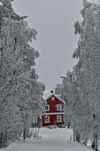 Rotes Schwedenhaus im Winter, Vilhelmina, Västerbottens Län, Schweden