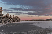 Gefrorener See in der Winterlandschaft, Storuman, Västerbottens Län, Schweden