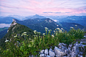 View of sunset from Schober (Salzburgerland) to the Drachenwand and the Schafberg. On the left in the picture the Mondsee and on the right the Wolfgangsee.