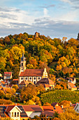 Blick auf Castell im Herbst, Kitzingen, Unterfranken, Franken, Bayern, Deutschland, Europa