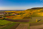 Vineyards near Iphofen, Kitzingen, Lower Franconia, Franconia, Bavaria, Germany, Europe