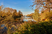 Der Rhein bei Bad Honnef im Herbst, Nordrhein-Westfalen, Deutschland