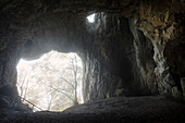 Petershöhle oberhalb von Beuron, Naturpark Oberes Donautal, Donau, Deutschland