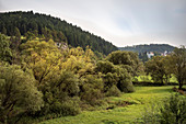 Blick zum Schloss Muehlheim, Mühlheim an der Donau, Baden-Württemberg, Deutschland