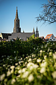 Ulm, Donau, Schwäbische Alb, Baden-Württemberg, Deutschland