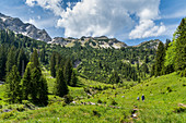 Abstieg vom Lösertaljoch durch das Lösertal mit Blick auf Scheinbergspitze und Lösertalkopf, Ammergauer Alpen, Bayern, Deutschland, Europa