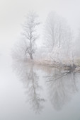 Novembermorgen an der Loisach bei Kochel am See, Oberbayern, Bayern, Oberbayern