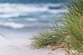 Dunes, sand and sea in Heiligenhafen, Baltic Sea, Ostholstein, Schleswig-Holstein, Germany