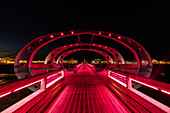 Lichterilluminierung der Seebrücke mit beleuchtetem Tannenbaum in Kellenhusen, Ostsee, Ostholstein, Schleswig-Holstein, Deutschland