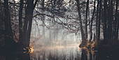 Winterliche Flusslandschaft zum Sonnenaufgang mit Nebel im Spreewald, Deutschland, Brandenburg, Spreewald