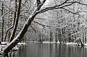 River landscape in the snow, Germany, Brandenburg, Spreewald