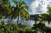 Coconut palms and overwater bungalows of the Sofitel Bora Bora Private Island Resort in the Bora Bora Lagoon at sunrise, Bora Bora, Leeward Islands, French Polynesia, South Pacific