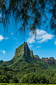 Üppige Vegetation und Mount Tohivea, Moorea, Windward Islands, Französisch-Polynesien, Südpazifik