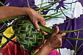 Traditional weaving with pandanus leaves during an immersion workshop in the ELK cultural village, Apootaata, Moorea, Windward Islands, French Polynesia, South Pacific