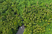 Luftaufnahme von Ausflugsboot auf Fluss und Laguneneinlass umgeben von Kokospalmen und üppigem Dschungel an der Südwestküste von Tahiti-Iti, Maraotiria, Tahiti, Windward Islands, Französisch-Polynesien, Südpazifik