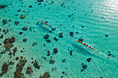 Luftaufnahme von zwei Ausleger-Rennkanus in der Lagune von Moorea, Avamotu, Moorea, Windward Islands, Französisch-Polynesien, Südpazifik