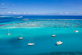 Aerial view of sailboats at anchor in Opunohu Bay, Moorea, Windward Islands, French Polynesia, South Pacific