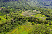 Luftaufnahme von Ananasplantagen und üppiger Vegetation im Paopao Valley, Moorea, Windward Islands, Französisch-Polynesien, Südpazifik