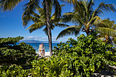 Kokospalmen entlang Strand und SUP Stand Up Paddle Boards im Malamala Island Beach Club, Mala Mala Island, Mamanuca Group, Fidschi-Inseln, Südpazifik