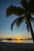 Coconut palm, beach and small barrier island at Six Senses Fiji Resort at sunset, Malolo Island, Mamanuca Group, Fiji Islands, South Pacific
