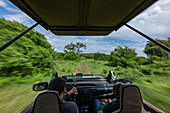 Blurred motion when looking from a safari vehicle operated by luxury resort tented Magashi Camp (Wilderness Safaris), Akagera National Park, Eastern Province, Rwanda, Africa