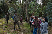Ranger Guides und Besucher während eines Trekking Ausflug zur Sabyinyo Gruppe von Gorillas, Volcanoes National Park, Northern Province, Ruanda, Afrika