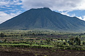 Fruchtbares Land mit Kartoffelfeldern und Vulkan, Volcanoes National Park, Northern Province, Ruanda, Afrika