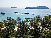 Aerial view of coconut palms near beach with excursion boats, fishing boats and islands in the distance, May Rut Island, near Phu Quoc Island, Kien Giang, Vietnam, Asia