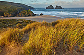 Sand dunes at Holywell Bay, a place made famous by BBC drama Poldark, near Newquay, north Cornwall, England, United Kingdom, Europe