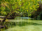 Frenchman's Cove River, Gemeinde Portland, Jamaika, Westindische Inseln, Karibik, Mittelamerika