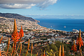 View of city, Funchal, Madeira, Portugal, Atlantic, Europe