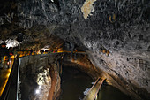 Postojna-Höhle, nahe Postojna, Südwest-Slowenien, Europa