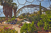 A view inside the Mediterranean Biome, covered by its huge dome, at the Eden Project, near St. Austell, south Cornwall, England, United Kingdom, Europe