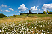 Windmühle bei Pudagla, Usedom, Ostsee, Mecklenburg-Vorpommern, Deutschland