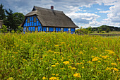 Thatched half-timbered house, Warta, Lieper Winkel, Usedom, Baltic Sea, Mecklenburg-Western Pomerania, Germany