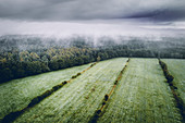 Felder und Wald unter Nebel und Wolken, Luftaufnahme, Wiesede, Friedeburg, Wittmund, Ostfriesland, Niedersachsen, Deutschland, Europa