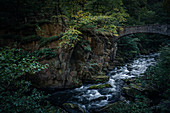 Fluss Bode mit Jungfernbrücke, Bodetal, Thale, Harz, Sachsen-Anhalt, Deutschland, Europa