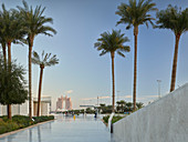Palm trees, Fairmont Marina Resort, Abu Dhabi, United Arab Emirates