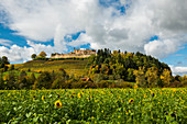 Die Hochburg, Herbst, bei Emmendingen, Schwarzwald, Baden-Württemberg, Deutschland