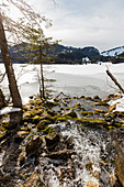 Stream mouth at the frozen Spitzingsee in winter, Bavaria, Germany