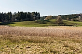Wiesen und Felder im Frühling, bayrische Kulturlandschaft bei Elbach, Bayern, Deutschland