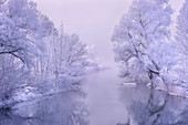 Wintermorgen an der Loisach, Kochel am See, Oberbayern, Bayern, Deutschland, Europa