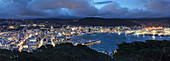 View from Mount Victoria to Wellington skyline, Wellington, North Island, New Zealand, Pacific