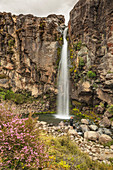 Taranaki Falls, Tongariro National Park, UNESCO World Heritage Site, North Island, New Zealand, Pacific
